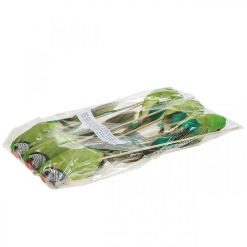 Floristik24 Tapón de flores pájaro, loro decorativo verde 23×4,5×5,5cm 6uds