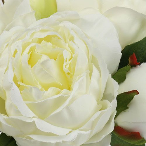 Floristik24 Ramo de peonías blancas L30cm