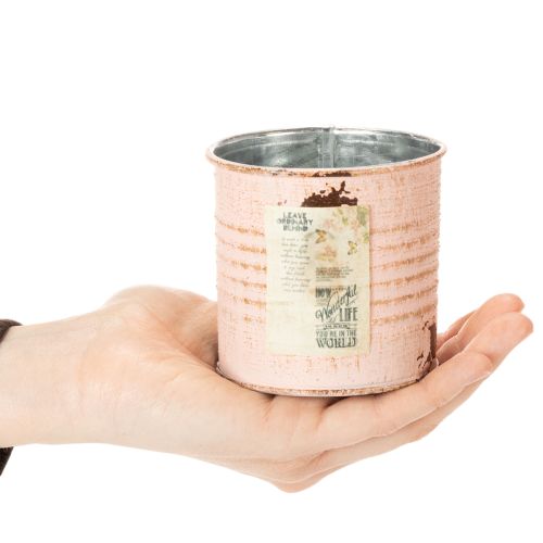 Artículo Maceta decorativa, diseño salmón, bote de metal para hierbas, Ø8cm, H7.5cm