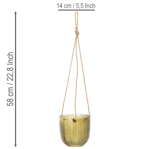 Maceta/farol colgante de cristal, morado/verde, 14 cm, 2 unidades | Floristik24.es