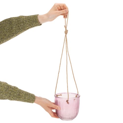 Maceta/farol colgante de cristal, morado/verde, 14 cm, 2 unidades | Floristik24.es