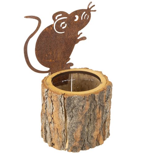 Floristik24 Maceta de madera con textura de corteza y óxido de ratón H24cm