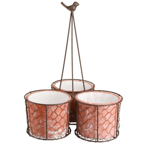 Floristik24 Maceta de cerámica cesta de malla metal marrón Ø30cm H11,5cm