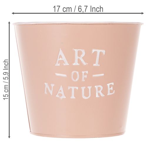 Artículo Maceta de zinc Art of Nature, rosa antigua, Ø17,5 cm H15 cm