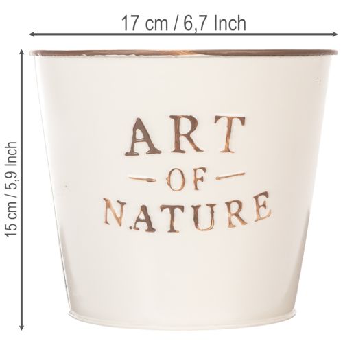 Maceta de zinc Art of Nature color crema, Ø17,5 cm, H15 cm. | Floristik24.es