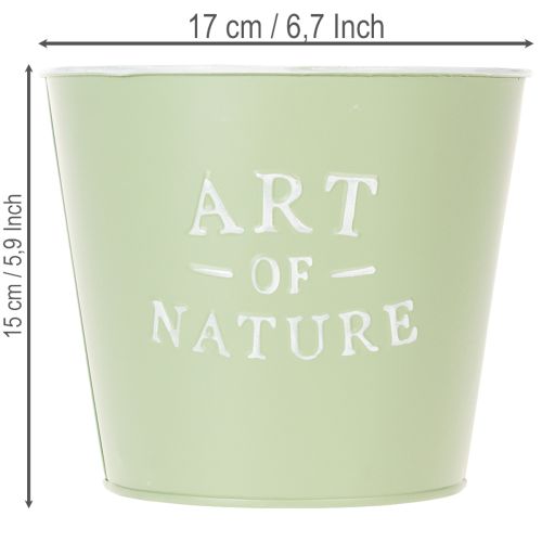 Artículo Maceta de zinc Art of Nature verde menta Ø17,5cm H15cm