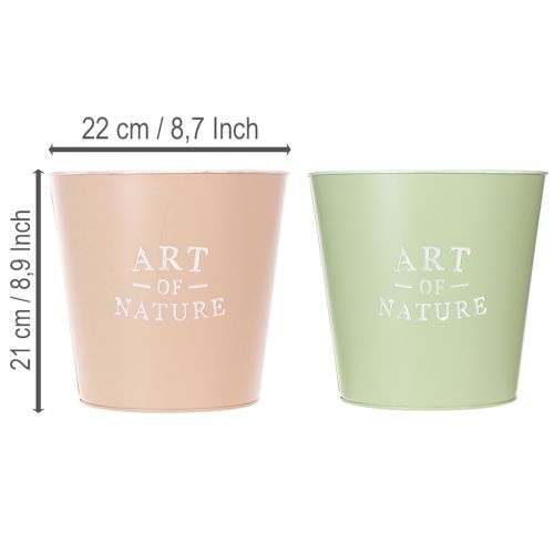 Maceteros decorativos redondos Art of Nature, set de 2, verde y rosa pastel, 22 cm | Floristik24.es
