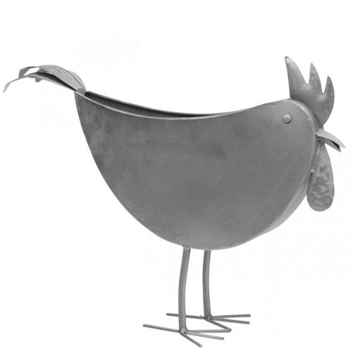 Maceta pollo metal pájaro zinc metal decoración 51×16×37cm
