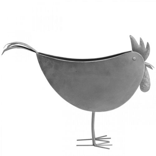 Artículo Maceta pollo metal pájaro zinc metal decoración 51×16×37cm