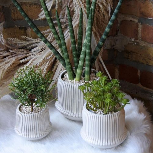 Floristik24 Macetero macetero de cerámica con ranuras blanco Ø10cm H8.5cm