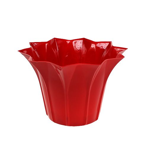 Floristik24 Maceta Plástico Rojo Ø10,5cm 10pcs