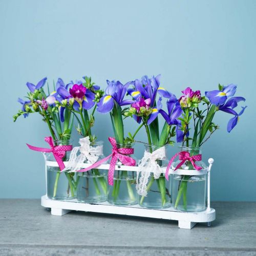 Floristik24 Jarrón de flores botellas de boticario decoración de cristal de boticario en bandeja 38cm