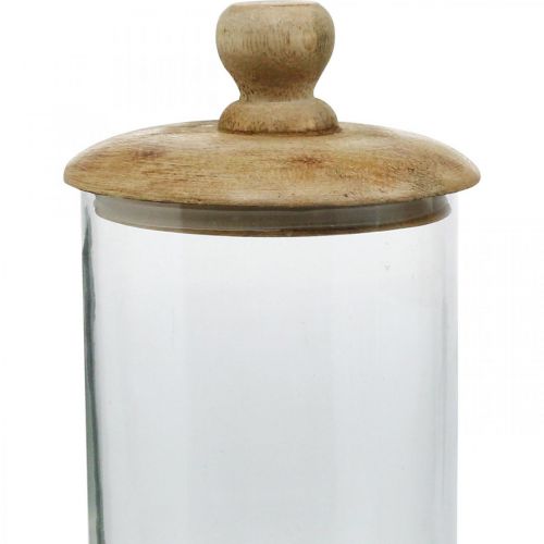 Floristik24 Tarro de cristal con tapa, bombonera, tarro de cristal color natural, transparente Ø11cm H19cm 2pcs