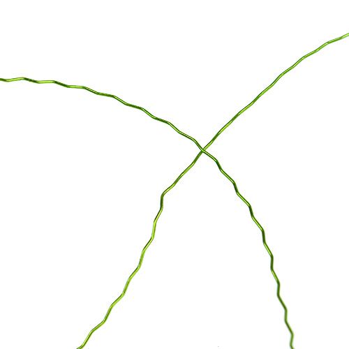 Hilo efecto caldo Ø0.30mm 100g 140m verde manzana