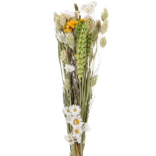 Ramo de flores secas, elegante ramo de flores secas para salón, 50 cm