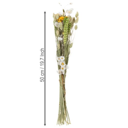 Artículo Ramo de flores secas, elegante ramo de flores secas para salón, 50 cm