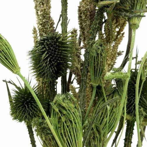Floristik24 Ramo de flores silvestres natural, verde 25–60cm 70g