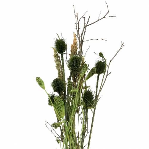 Floristik24 Ramo de flores silvestres natural, verde 25–60cm 70g