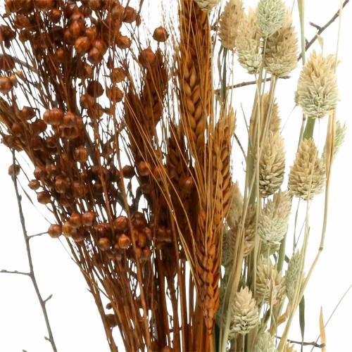Floristik24 Ramo de flores silvestres naturaleza, naranja 25–60cm 65g