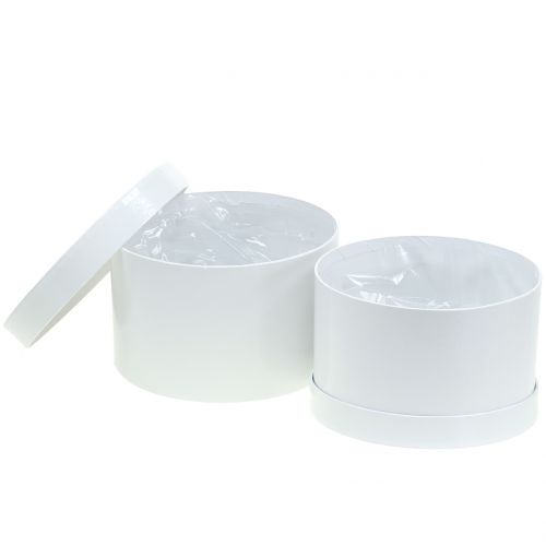 Floristik24 Macetero blanco Ø18 / 20cm 2pcs