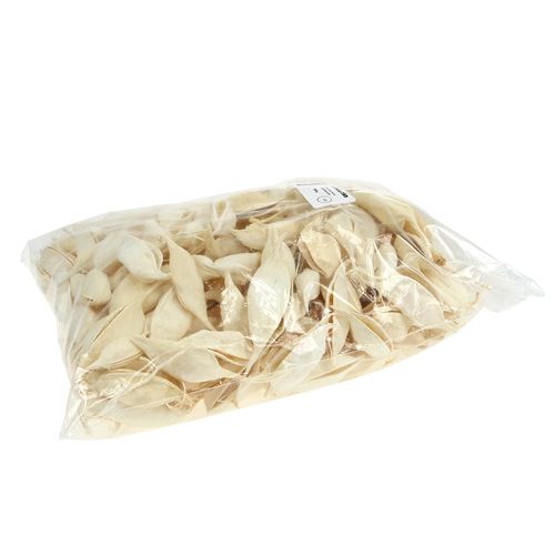Artículo Braquiciton blanqueado 500g