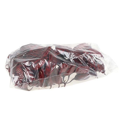 Artículo Braquiciton Rojo 500g