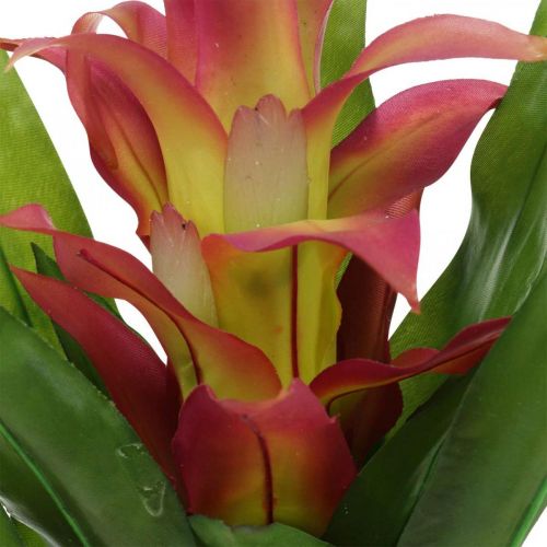 Floristik24 Bromelia artificial Rosa Flor artificial para pegar 54cm