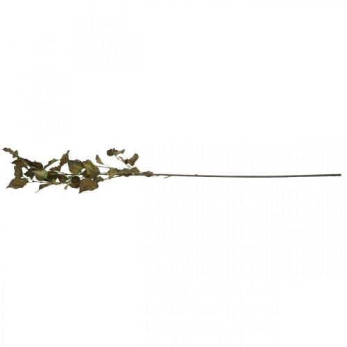 Floristik24 Deco rama haya artificial rama otoño rama deco 115cm