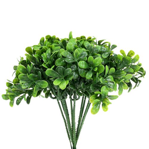 Floristik24 Rama de boj verde L20cm 12pcs