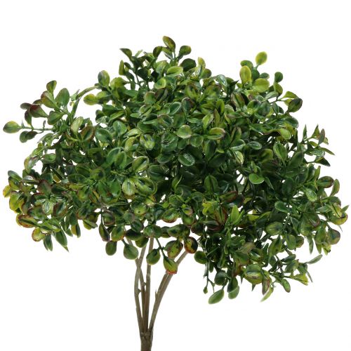 Floristik24 Rama de boj verde 27cm