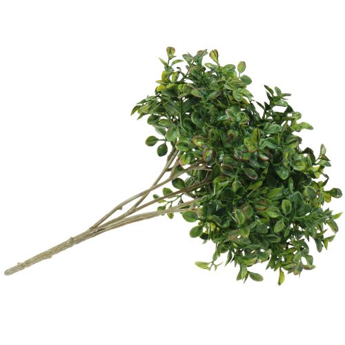Floristik24 Rama de boj verde 27cm