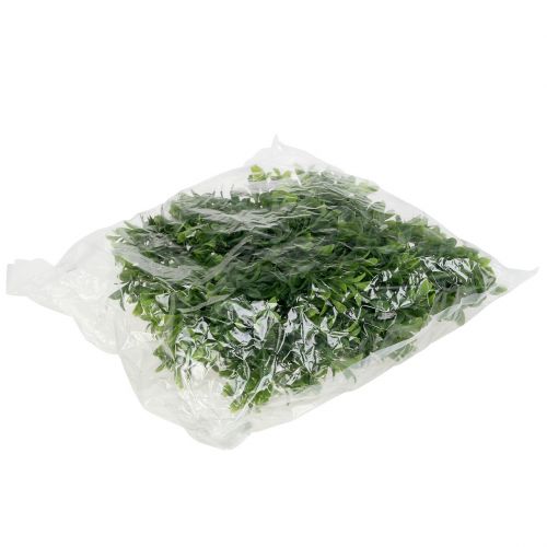 Floristik24 Guirnalda de boj verde 180cm