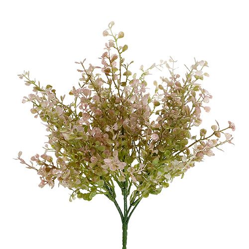 Floristik24 Rama de boj rosa, rosa con mica 32cm