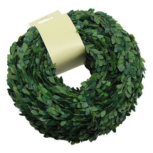 Floristik24 Caja guirnalda verde 15m