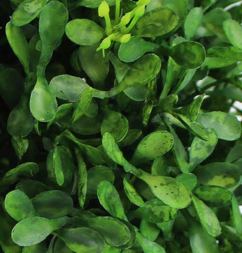 Floristik24 Caja bola Ø12cm Decoración plantas verdes artificiales