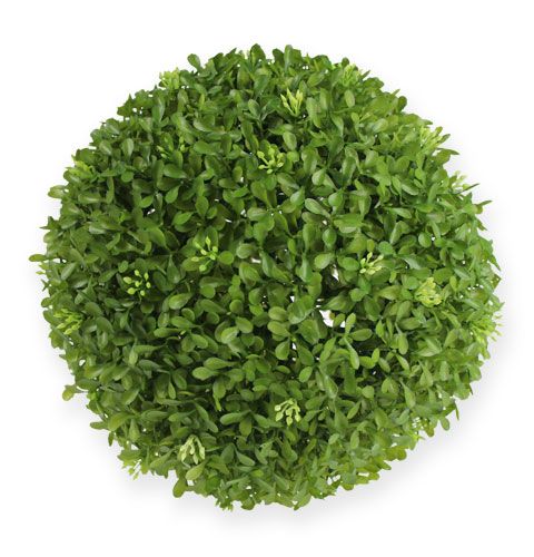 Floristik24 Bola de caja Ø25cm