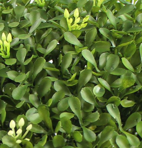 Floristik24 Bola de caja Ø25cm