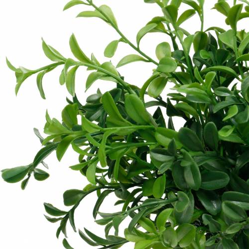 Floristik24 Caja de ramas de boj en púa planta verde artificial 6 piezas