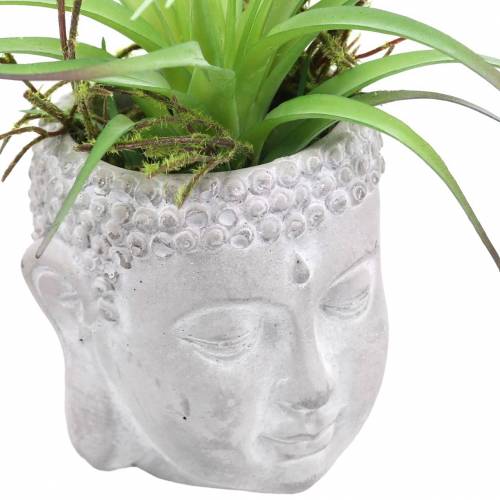 Floristik24 Cabeza de buda para plantar hormigón gris, blanco lavado Ø8 H8cm