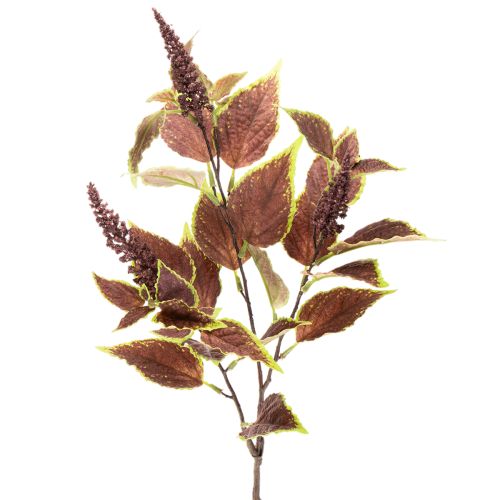 Coleo artificial con hojas rojas, planta artificial, 20 cm