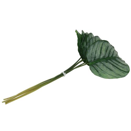 Floristik24 Hoja decorativa, hoja de Calathea 6 piezas