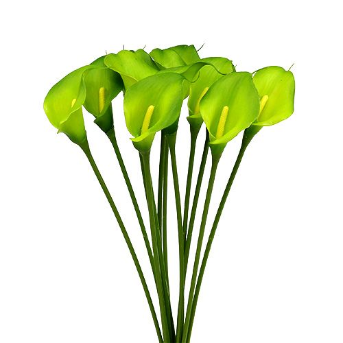 Floristik24 Cala artificial verde 8cm L57cm 12ud
