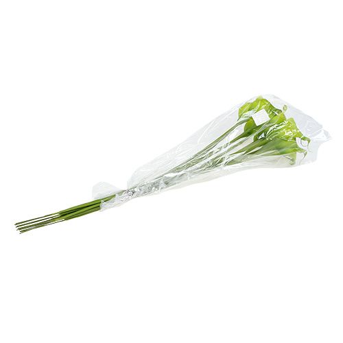 Floristik24 Cala artificial verde 8cm L57cm 12ud