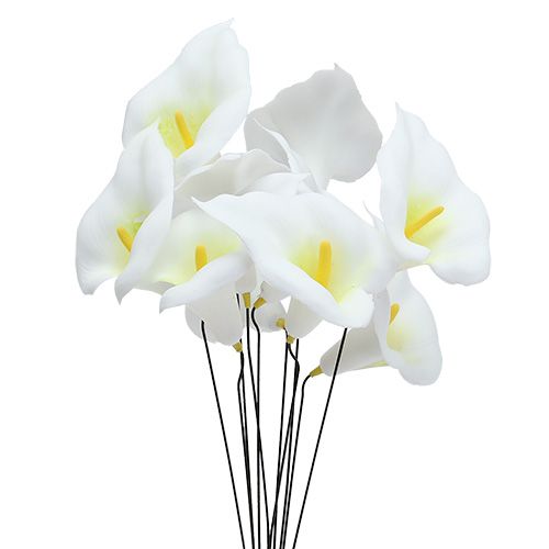 Floristik24 Calla on wire pequeño blanco 50pcs