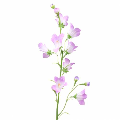 Floristik24 Campanula Artificial Bellflower Púrpura 66cm