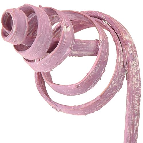 Artículo Caña de pescar en espiral, caña de pescar en cono, surtido de cañas, bayas, 30 cm, 75 unidades