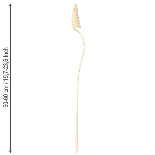 Artículo Cono de caña blanqueado 25 uds.