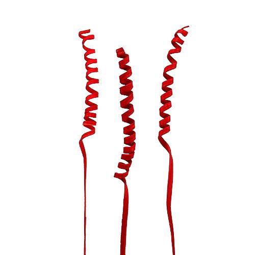 Floristik24 Baston Spring mini rojo 25uds