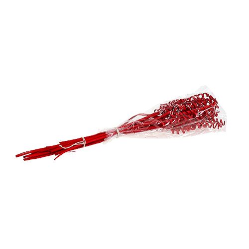 Floristik24 Baston Spring mini rojo 25uds