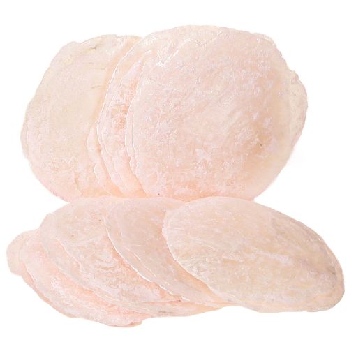 Floristik24 Conchas Capiz discos de nácar conchas decorativas rosa claro Ø8cm